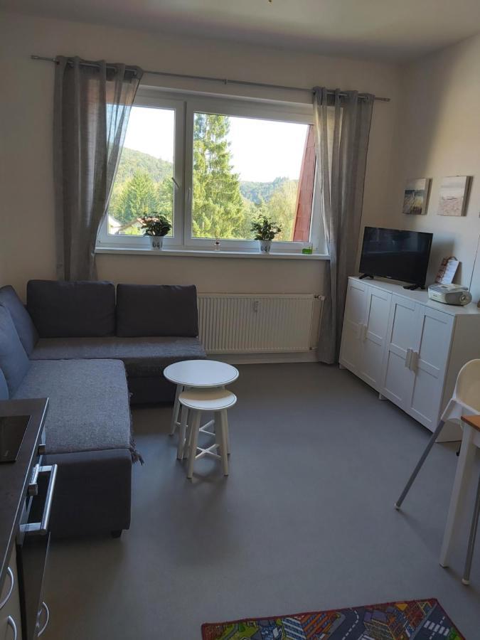 Apartmán Ždáň/Slapy Exterior foto